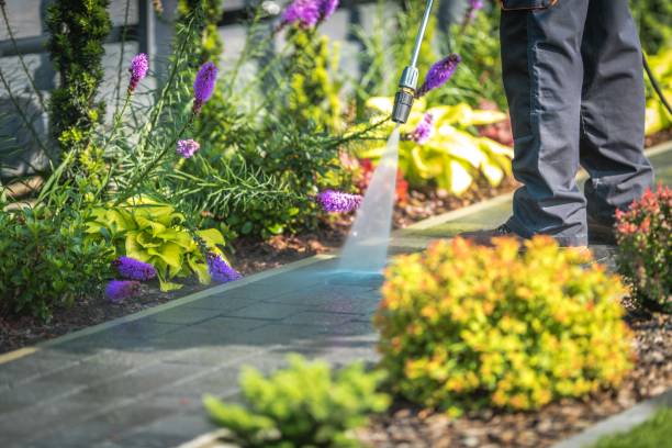 Best Dumpster Area Cleaning  in Logansport, IN